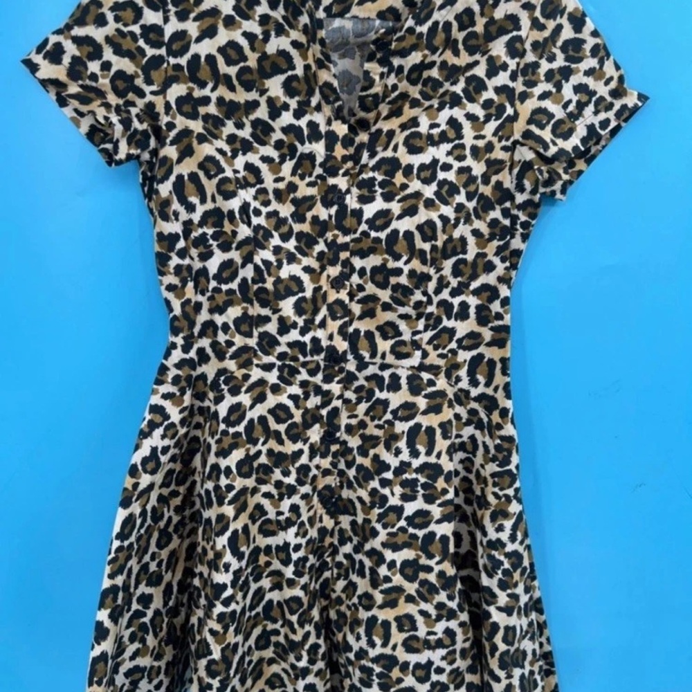 Zara Animal Print Dress